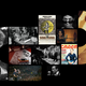 Image for article titled A new curated music doc streaming site, The Coda Collection, is launching on Amazon Prime